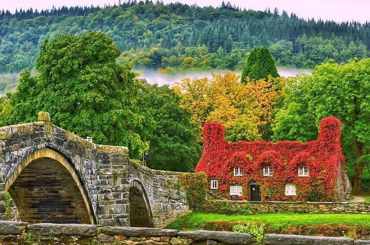 cropped-tu-hwnt-ir-bont-tearooms.jpg